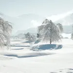 Ξενοδοχείο Sportresidenz Zillertal